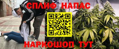 ГАЛЛЮЦИНОГЕННЫЕ ГРИБЫ Абакан