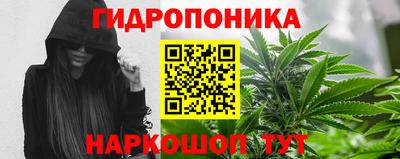 ГАЛЛЮЦИНОГЕННЫЕ ГРИБЫ Абакан