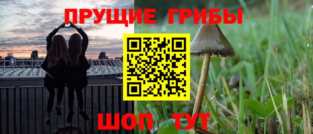 Алейск  Псилоцибиновые грибы прущие грибы  Вход с VPN 