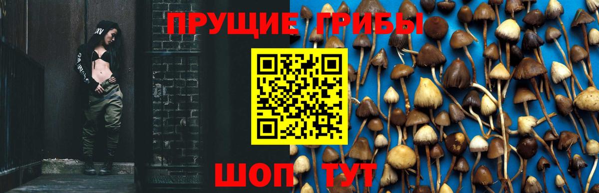 Псилоцибиновые грибы мухоморы Алейск